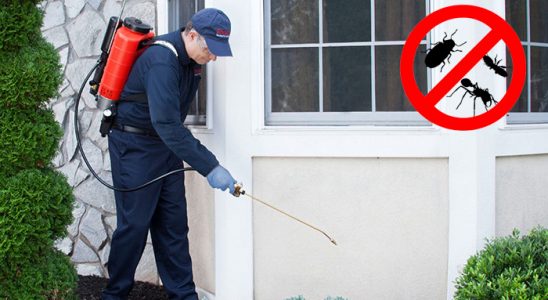 Akıncılar Sivrisinek İlaçlama böcek ilaçlama ve haşere kontrolü — ilaclama-tr.com